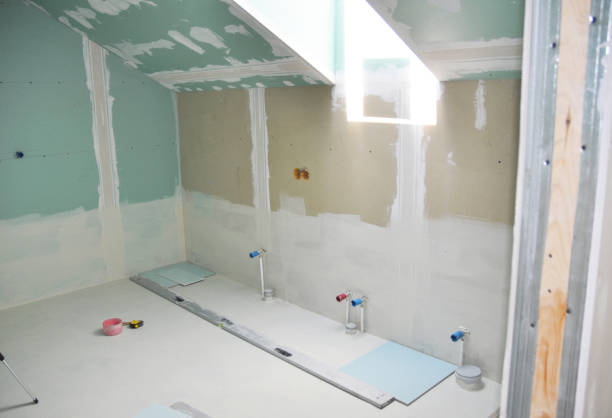 Best Mold Remediation for Vacation Homes  in , ID