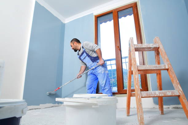 Best Mold Removal for HVAC Installations  in , ID