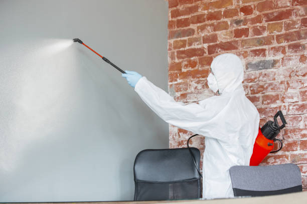 Best Emergency Mold Remediation  in , ID