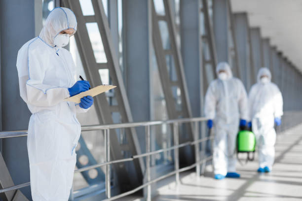 Best Environmental Consulting for Mold Prevention  in , ID