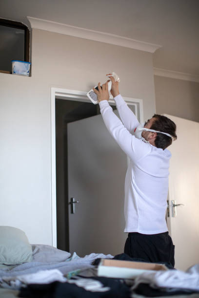 Best Mold Damage Restoration  in , ID