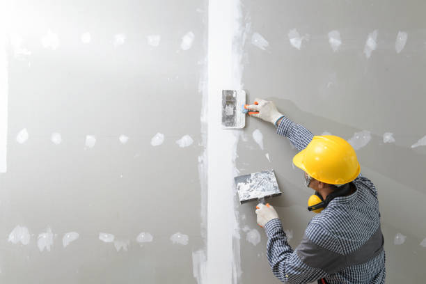 Best Post-Construction Mold Inspection  in , ID