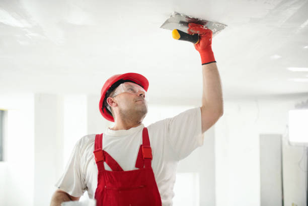 Best Asbestos and Lead Testing During Mold Inspection  in , ID