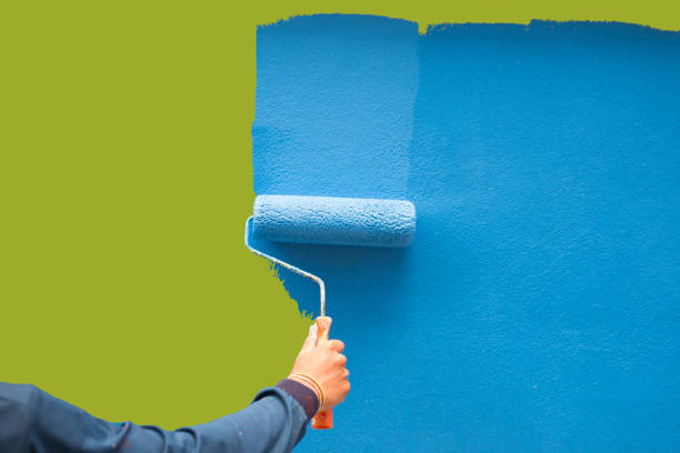 Best Mold Prevention Services  in , ID