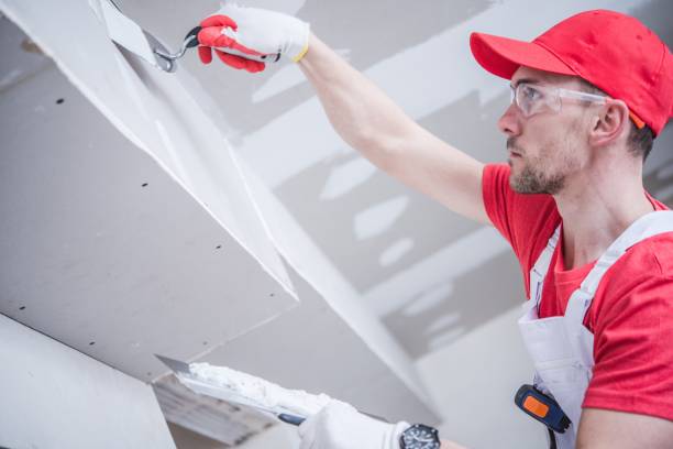 Best Industrial Mold Remediation  in , ID