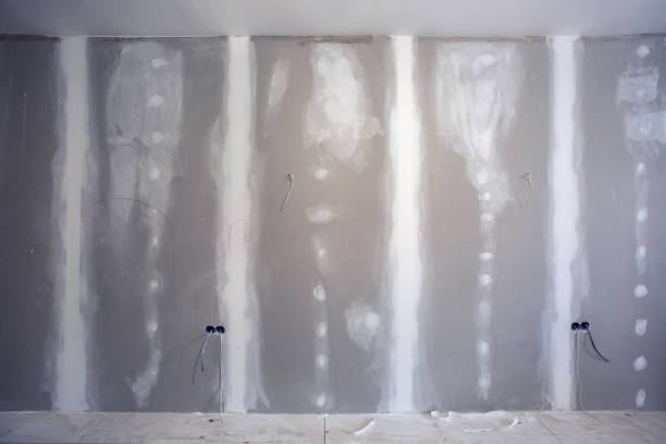 Best Mold Odor Removal Services  in , ID