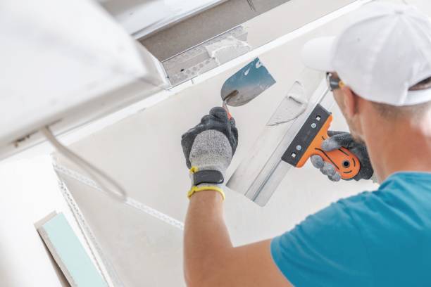  , ID Mold Removal Pros
